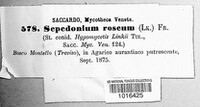 Image Associated With the Occurence